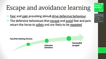 Lesson 2: Fear Learning
